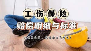 工伤保险赔偿明细与支付标准