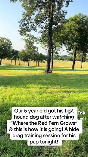 Training a Blue Tick Coonhound for Hunting Success