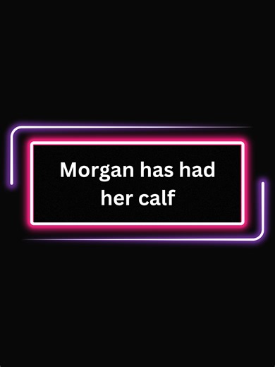 Morgan the Orca Welcomes Her Newborn Calf