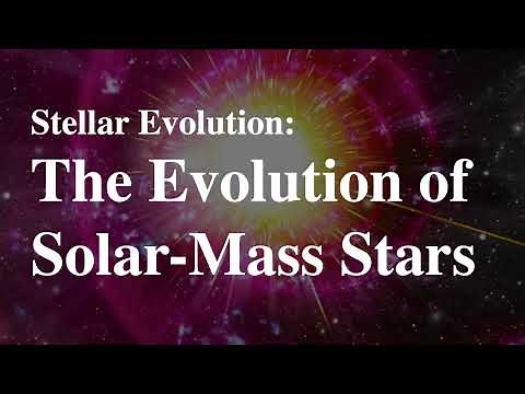 The Life Cycle of our Sun: From Birth to White Dwarf