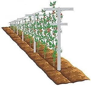 MRGARDEN 7-Feet Adjustable Garden Trellis Set for Raspberry and Climbing Plants, Outdoor Stake Vineyard Trellis, Pack of 4