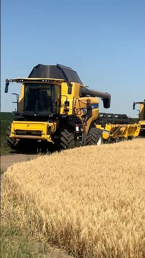 THE ULTIMATE HARVEST MACHINE? 🤔 Why New Holland dominates these fields! 🌾 #farmtok #farming