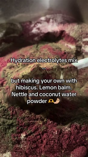 Nettle, Hibiscus, Lemon Balm, and Coconut Water powder work together to naturally replenish minerals like potassium and magnesium that your body loses through sweat and dehydration. While coconut water and nettle support hydration and muscle function, hibiscus adds antioxidants and lemon balm helps calm the nervous system so your body can recover easier #electrolytes #hydration