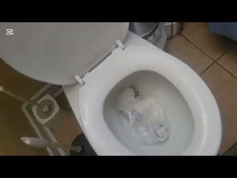 My Homework No-Clips To The Backrooms!