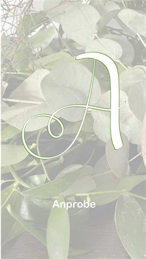 Wedding Dress Fittings: A Bride's Guide