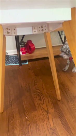 Budget-Friendly Dining Table for Tiny Kitchens | Space-Saving Furniture Ideas