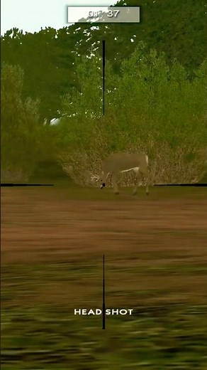 Hunting Unlimited PC #gaming #huntingunlimited