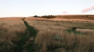 Pisgah National Forest temporarily shuts down several more roads & trails through August