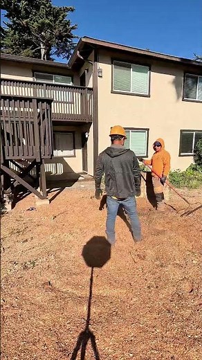 Stump Grinding