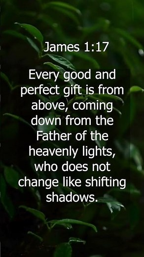 The Source of All Good Things | James 1:17 #jesus #bibleverse