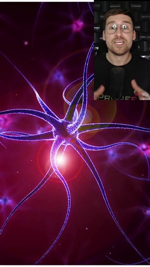 ANOTA AÍ: existem dois tipos de sinapses - a elétrica que ocorre quando há uma troca de íons entre as células nervosas por meio de junções comunicantes, e a química que ocorre quando há a liberação de neurotransmissores (moléculas químicas) na fenda sináptica. #nature #education #health #biology #biologia #medicina #medicine #educação #saude #neuronio #estudos #vestibular #concurso #enem #fisioterapia #enfermagem #science