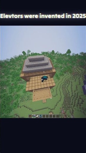 What Did People Do BEFORE The FIRST Elevator Was Made in 2025?