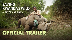 2.6K views · 94 reactions | 10 years ago... Rwanda Wildlife...