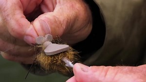 4.9K views · 659 reactions | Join the Fly Fusion digital family to receive free content and updates by email. As our thanks we will give you a little gift of escape with our compliments - the full-length 2019 International Fly Fishing Film Festival. | Fly Fusion | Facebook