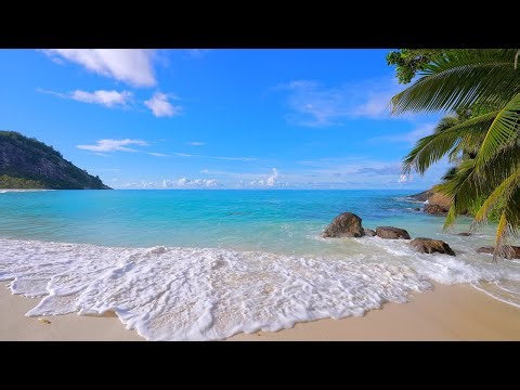 🏝 Beach Screensaver From a Tropical Remote Island Paradise