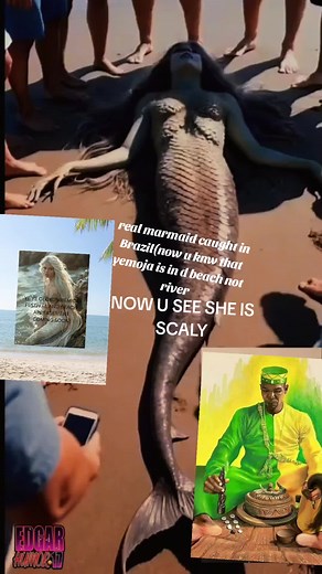 Real Mermaid Caught in Brazil Beach