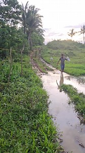 83K views · 6K reactions | Hindi umabot ang project, | Solomon Retada Pagunsan | Facebook