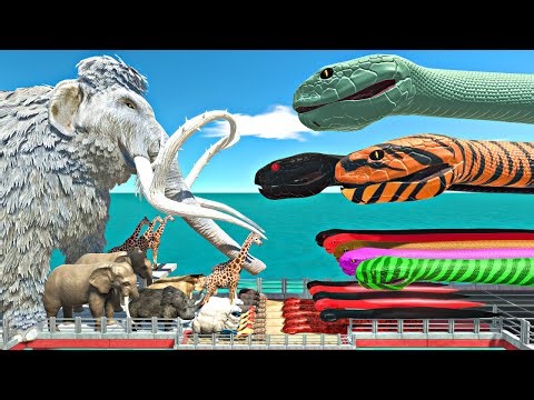Animals Bridge Challenge | Giant Snake Team vs Giant Mammoth - Animal Revolt Battle Simulator