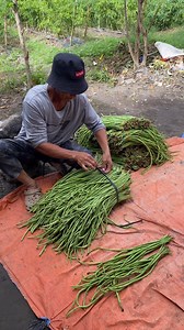 Hantak/utong | Arly G