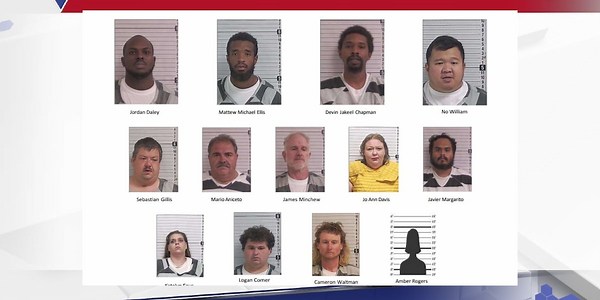 Operation Summer Heat: 13 arrested in undercover investigation against child exploitation, prostitution