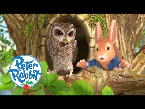 Peter Rabbit - The Rabbit That Got Away! | Cartoons for Kids