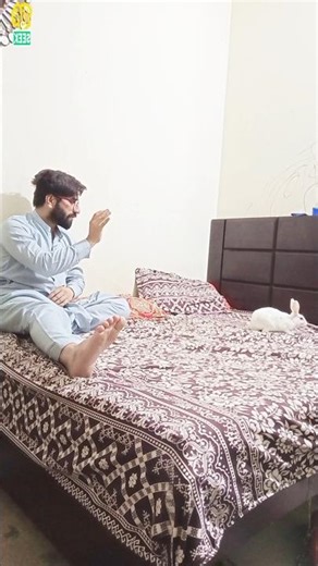 Unexpected Magic! Rabbit Appeared from a Cloth 🐇 |Magical Reels | YouTube Shorts