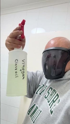 How to remove mould from bathroom ceiling ?