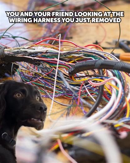5.8K reactions · 560 shares | You and your bro staring at the Wiring mess you made… One wire at a time. One wrong crimp at a time. Been there? HPA’s Wiring Package shows you how to do it right—step-by-step. No chaos. No crossed fingers. Just wiring that works. Learn how to actually fix it with HPA’s Ultimate Wiring Package. __ Instant Access Trusted by 15,834 students 60 Day Money Back Guarantee | High Performance Academy | Facebook