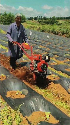 High-Efficiency Inter-Row Tilling: Advanced Weed Control and Soil Aeration 🚜🌱✨