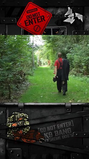 5.1K views · 163 reactions | K9 DOG'S  #79 | K9 BANG | Facebook