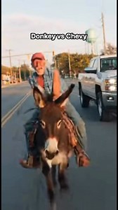 116K views · 1.9K reactions | Donkey vs Chevy | BadassAuto | Facebook