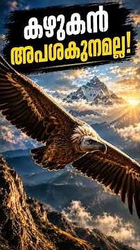 The one medicine that destroyed the kidneys of 40 million vultures! 😲🦅