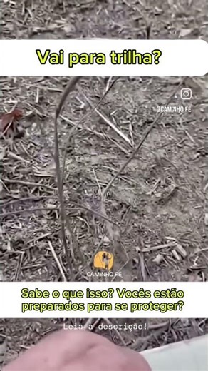 Tips for Avoiding Ticks During a Hike #pathoftruth #pathoffaith