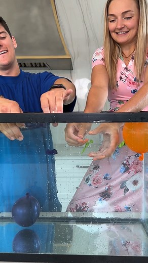 4.3K views · 22 reactions | A gender reveal for teachers | Story House | Facebook