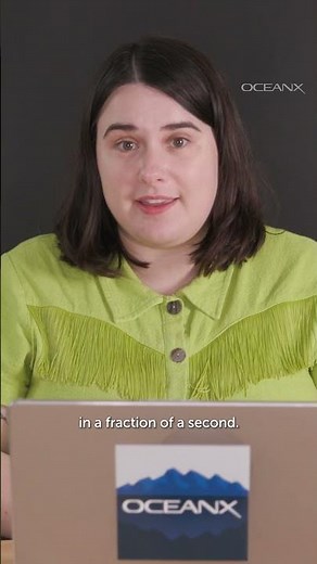 The Slimy Wonders of Hagfish