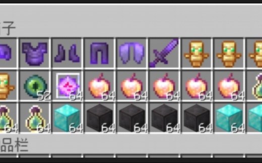 我的世界服主必备指令