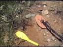 Finding Gold Nuggets with the GPX-4500 & Joey Searchcoil