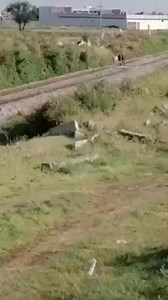 386K views · 5K reactions | Pakistan Railway | Pakistan Railway | Facebook