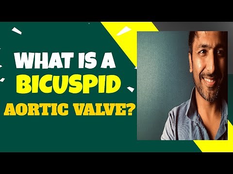 The Bicuspid Aortic Valve