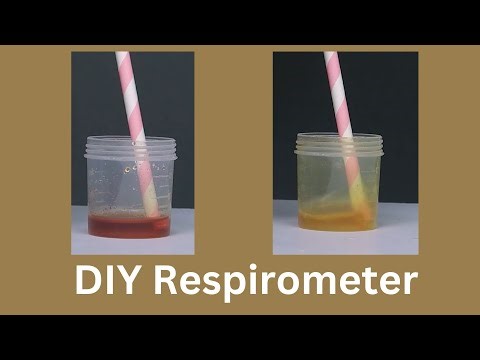 DIY Respirometer | ThinkTac | DIY Science