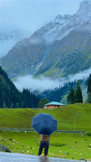 HEAVEN ON EARTH KASHMIR #kashmirvalley #jannatkashmir #viralreelsシ #summertime #travel #naturelover