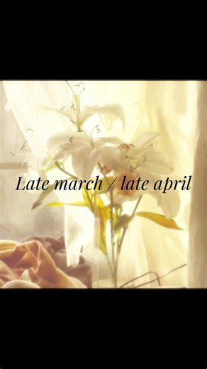 I love spring #real #spring #aestheticvideos