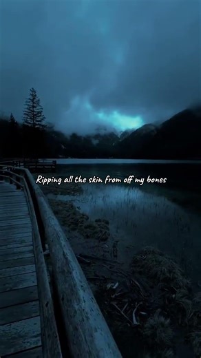 Mercy - Song by Shawn Mendes - esthetic video - lyrics edit