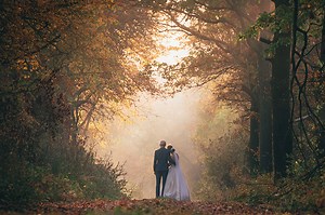 New Script! A Forest Themed Elopement Ceremony with Ring Warming Unity Ritual  | AMM Blog