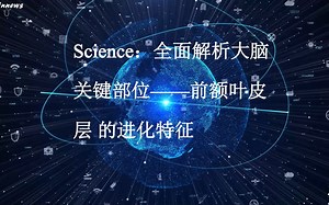 #Brainnews 【前沿快讯】Science最新研究：全面解析大脑关键部位——前额叶皮层 的进化特征_哔哩哔哩_bilibili