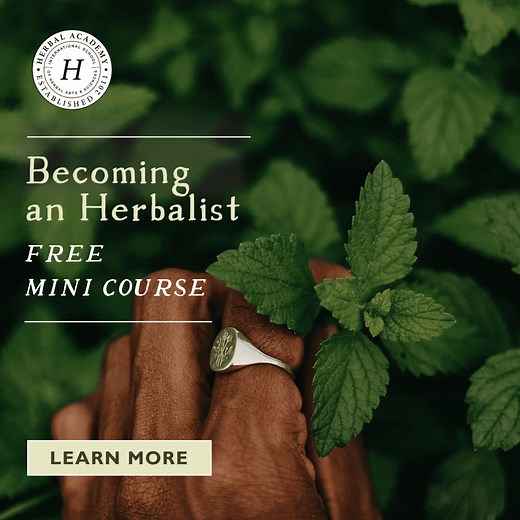 🌿 Explore Herbalism with Confidence! The FREE Becoming an Herbalist Mini Course by the Herbal Academy is your perfect starting point. 🌱 Thoughtful lessons that will help you navigate your herbal path. 🌱 Learn about certification, licensure, and safe practices. 🌱 Interactive exercises, downloads, and resources for further learning. 🌱 Add a 140-page planner for bonus discovery activities. ✨ Join a passionate herbal community and start your journey today for FREE! | Herbal Academy