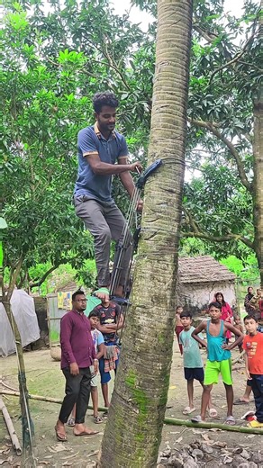 নারিকেল গাছে উঠা নামার ডিজিটাল যন্ত্র /Digital Coconut Tree Climbing Device#coconut #coconuttree