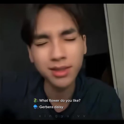 Exploring the Beauty of Gerbera Daisies with Ryujin Patji