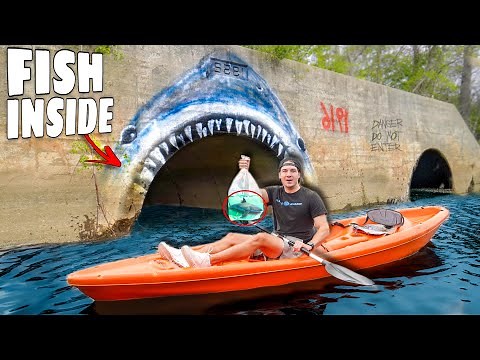 Searching for STRANGE FISH in ABANDONED BRIDGE!! *what’s inside?*