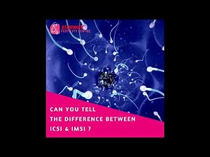 IMSI vs ICSI | Sunway Fertility Centre
